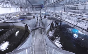 Land-Based Aquaculture | PG Flow Solutions